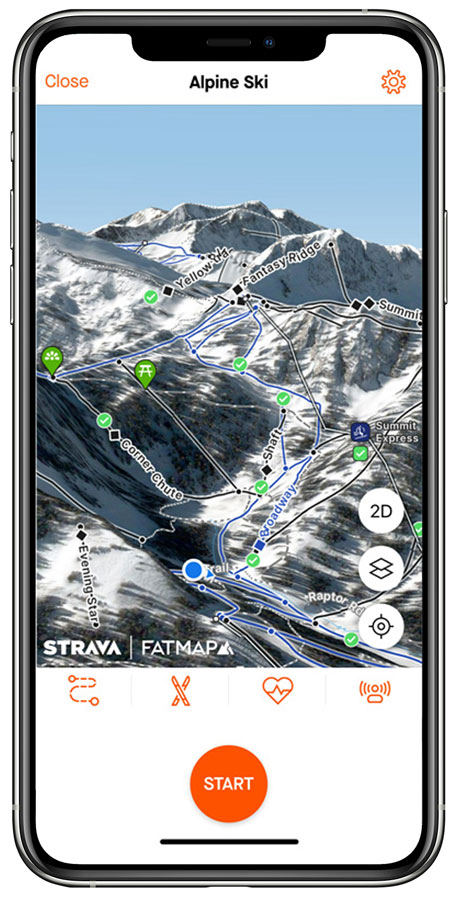 Foto: Cincila/Shutterstock.com, Montage SeitenPlan