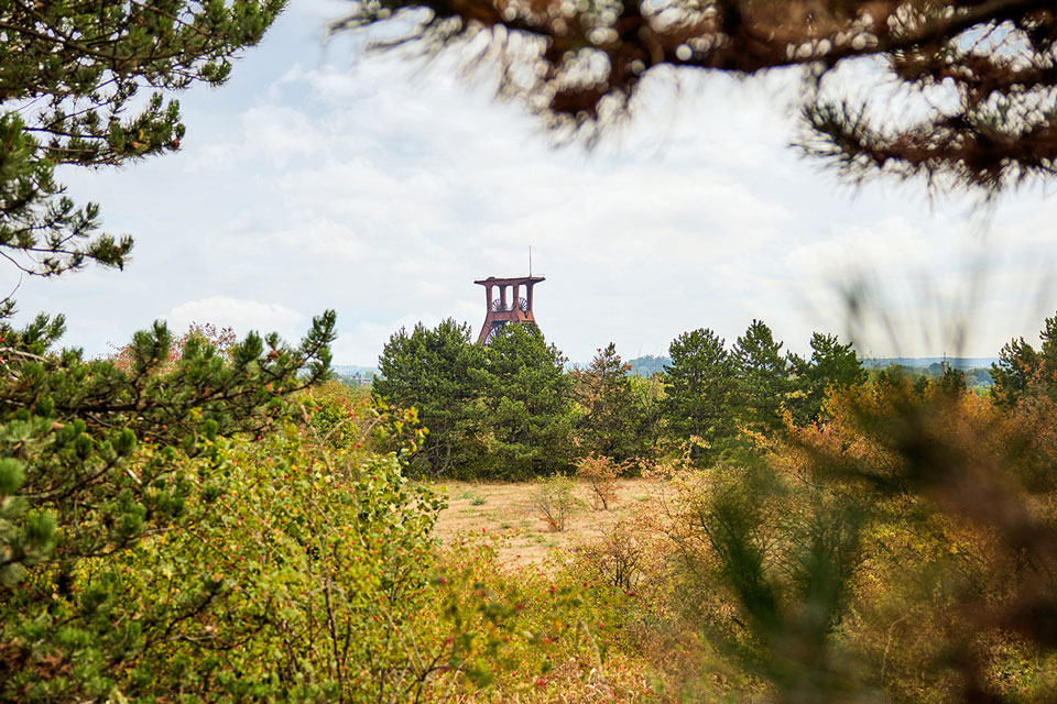 Halde Pluto in Herne (Foto: OLFF APPOLD)