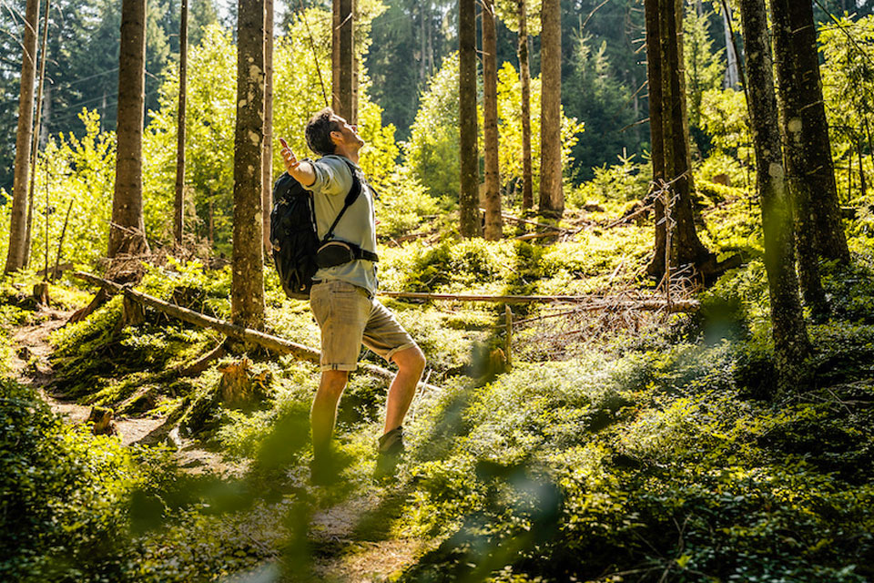 Foto eines Wanderes im Wald, der die Arme ausstreckt (Foto: Westend61/Daniel Ingold)