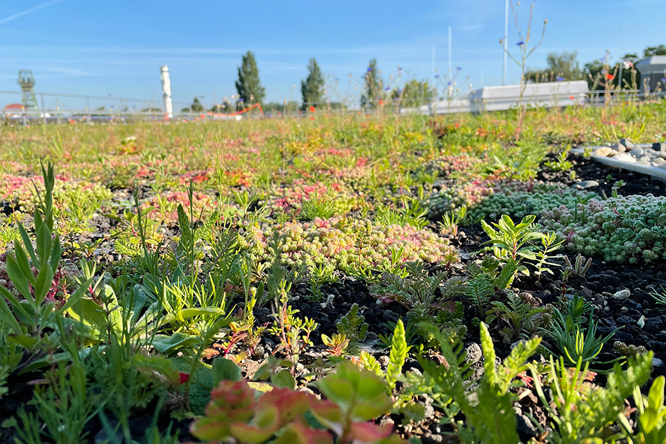 (Foto: Stadtwerke Bochum)