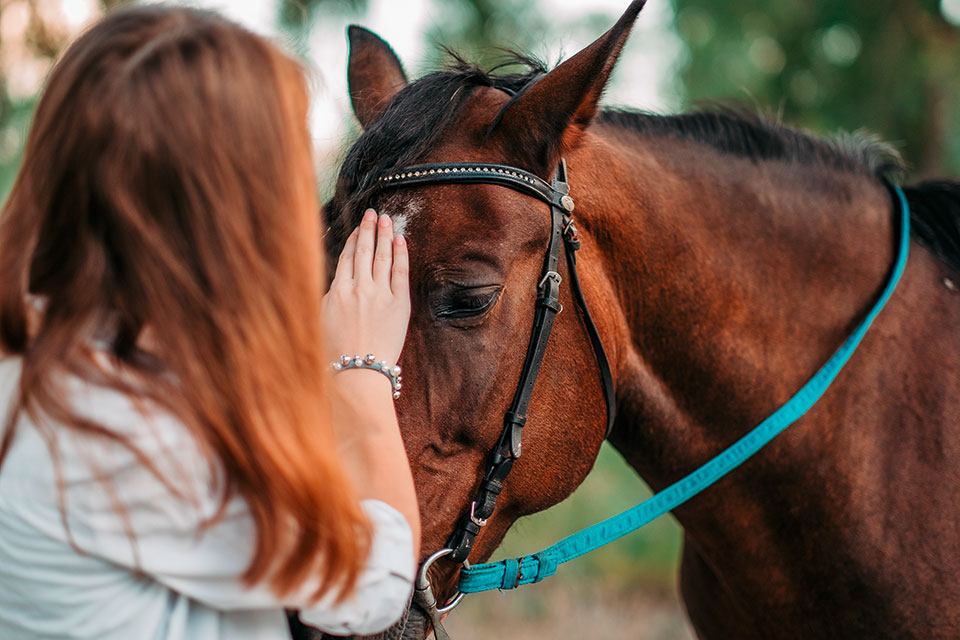Mädchen streichelt Pferd (Foto: shutterstock/Sushitsky Sergey)