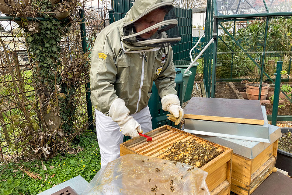 Hobby-Imker Karsten Taczyk (Foto:privat)