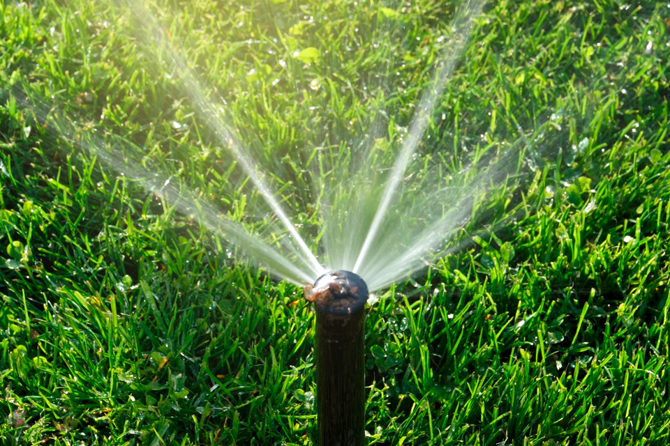 Automatisch gesteurter Rasensprenger (Foto: Hadrian/Shutterstock.com)