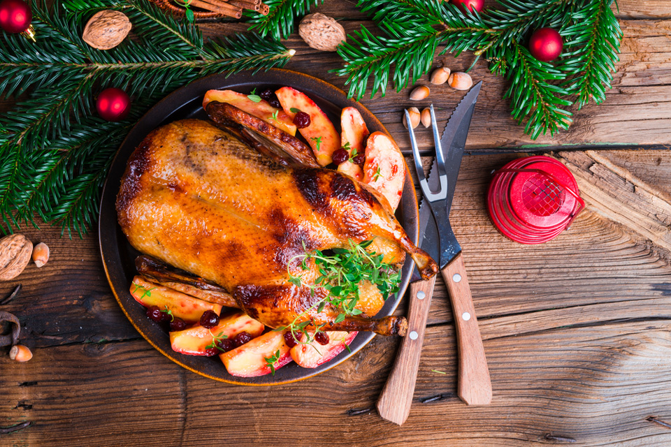 Weihnachtsente (Foto: Dar1930/Shutterstock.com)