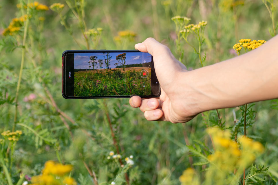 Smartphone fotografiert Pflanzen (Foto: Kathrine Andi/Shutterstock.com)