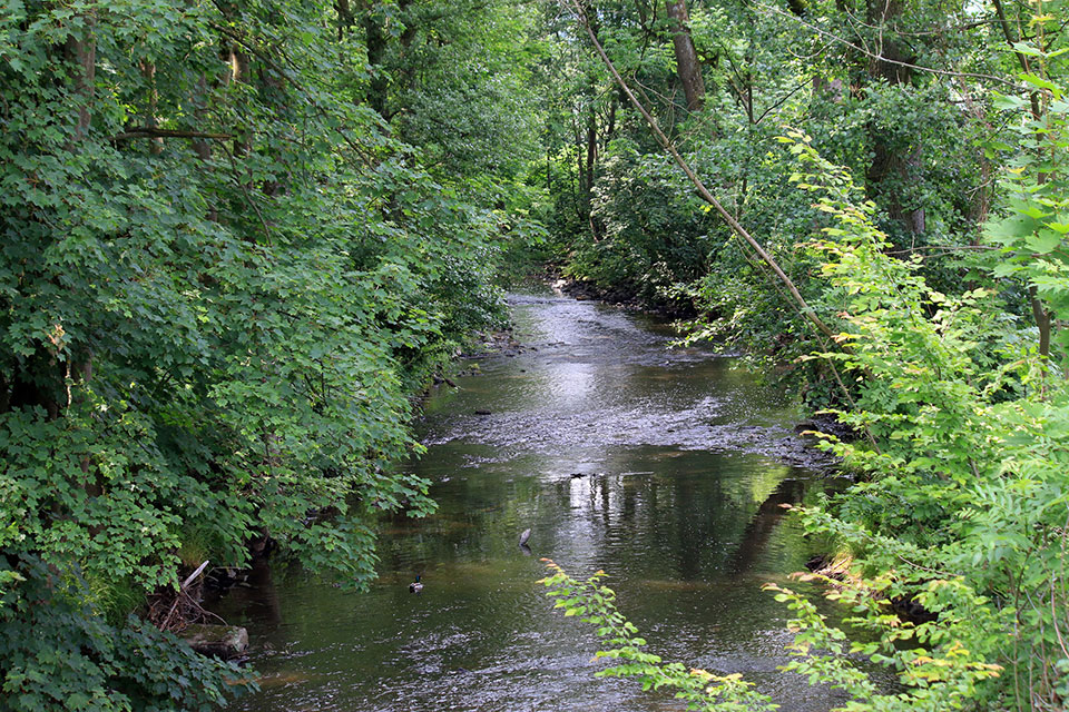 Der Deilbach (Foto: NaturFreunde NRW)