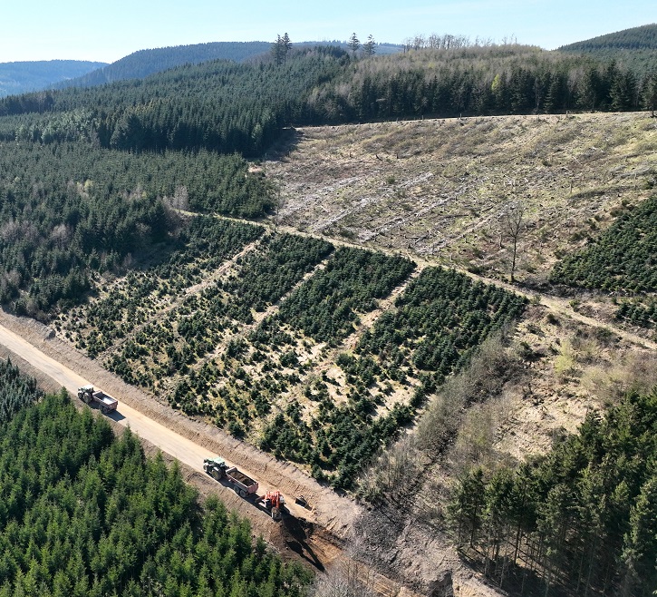 Luftbild eines teils abgeholzten Waldes mit neu gepflanzten Bäumen und Fahrzeugen auf einem Waldweg.