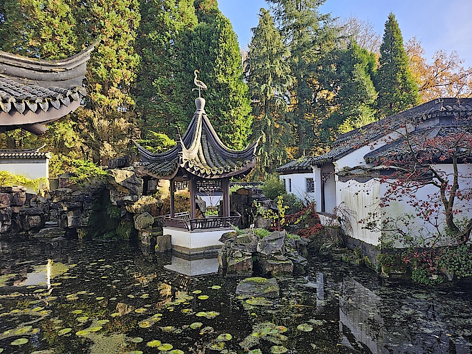Chinagarten in Bochum mit traditionellem Pavillon und Teich