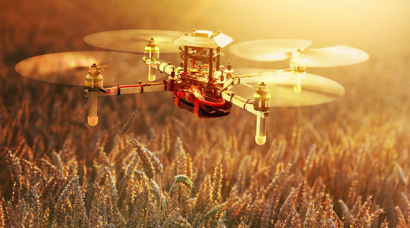 Drohne fliegt über ein goldenes Weizenfeld im warmen Licht der Abendsonne.